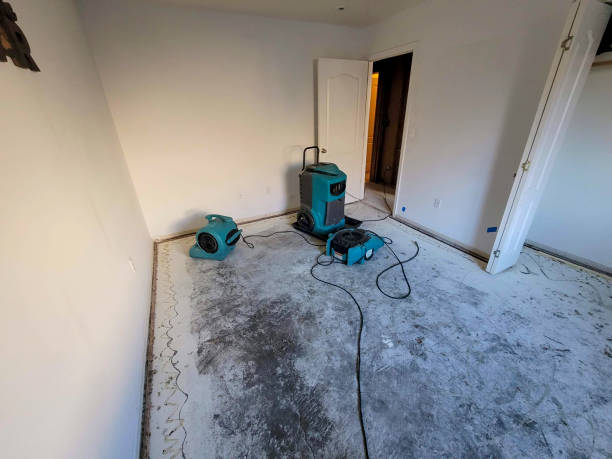 Best Basement water damage restoration  in Spanish Lake, MO